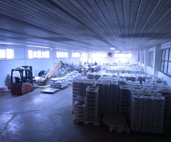 fabrikaic